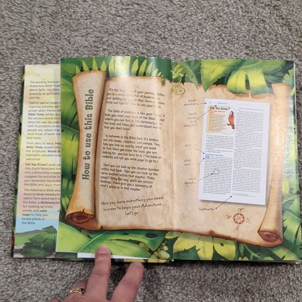 NIV Adventure Bible - Picture 5 of 11